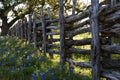 Old Wooden Fence and Bluebonnets on Willow City Loop Road, Texas Royalty Free Stock Photo