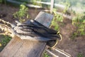 Old working gloves on wooden railing Royalty Free Stock Photo