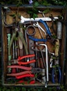 old working tools from the garage are swallowed by nature itself