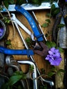 old working tools from the garage are swallowed by nature itself