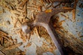 Old Hammer Sawdust Royalty Free Stock Photo