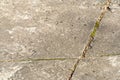 Old worn and cracked asphalt with cracks. Road surface texture background. cracks in the asphalt in the city