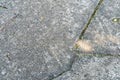 Old worn and cracked asphalt with cracks. Road surface texture background. cracks in the asphalt in the city