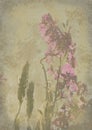 Old and worn flower paper texture background Royalty Free Stock Photo