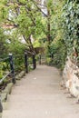 Old worn historic stone steps Royalty Free Stock Photo