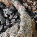 Old worn out jute sack, filled with pieces of cabbage, coal intentionally blurred, energy