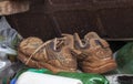 Old worn-out shoes full of mud Royalty Free Stock Photo