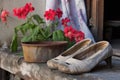 old worn-out slippers next to a potted geranium on a weathered stone step Royalty Free Stock Photo