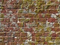 Old worn red brick wall with moss growing Royalty Free Stock Photo