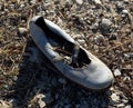 Old worn shoe filled with dry grass,