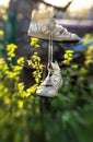 Old worn out shoes and a spring green garden Royalty Free Stock Photo