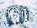 Old wornout rusted horseshoe lying on snow