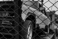 Old wrecked car in black and white scene. Abandoned rusty car in wire fence. Decayed abandoned truck. View from fence to truck. Tr