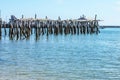 Old wrecked pier in sun dappled water with seawall on horizon and perched birds Royalty Free Stock Photo