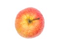 Old wrinkled Apple Royalty Free Stock Photo