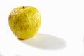 An old wrinkled apple lying on a white background Royalty Free Stock Photo