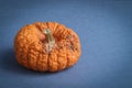 Old wrinkled pumpkin on blue background