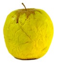 Old wrinkly apple