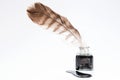 Old writing feather in the black ink pot Royalty Free Stock Photo
