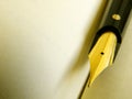 Old writing pen on parchment Royalty Free Stock Photo