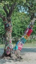 Old wrongly waxed tree clothed in handknitted garment Royalty Free Stock Photo