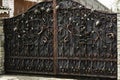 Old wrought iron gates with forged decorative elements