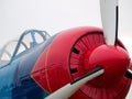 Old WW2 aircraft close-up Royalty Free Stock Photo