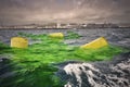 Old yellow barrels for biohazard waste drift on dirty green water.