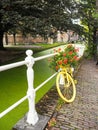 Old yellow bicycle filled with flowers and used for urban garden Royalty Free Stock Photo