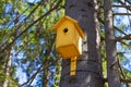 Old yellow birdhouse on a tree, bird care. Close-up