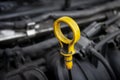 Oil dip stick with engine Royalty Free Stock Photo