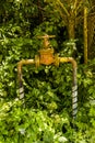 Old yellow gas pipe with valve in green leaves Royalty Free Stock Photo