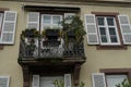 Old yellow house with balcony overgrown by moss with metal railings decorated with pots and flowers, windows and wooden shutters. Royalty Free Stock Photo