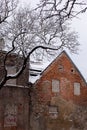 Old yellow orange brick building in winter. A tree in front of the ruined house wall. Vertical photo Royalty Free Stock Photo