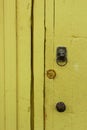 old yellow wooden door lion-shaped handle lock.