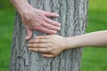 Old and Young Hands on Tree Trunk