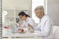 Old and young scientist working at science laboratory conducting experiment Royalty Free Stock Photo