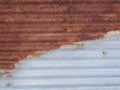 Old zinc roof background, rusty metal wall texture, dirty iron plate Royalty Free Stock Photo