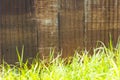Old zinc wall with grass. Royalty Free Stock Photo