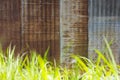 Old zinc wall with grass. Royalty Free Stock Photo