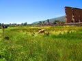 Olde Village Inca Trails, Country side of Peru. Royalty Free Stock Photo