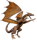 Olden dragon attacking Royalty Free Stock Photo