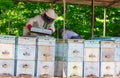 Older beekeepers Royalty Free Stock Photo