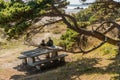 Older couple sitting at a picnic bench looking out onto the ocean shore. Royalty Free Stock Photo