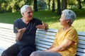 Older couple talking seated on bench in summer park Royalty Free Stock Photo