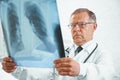 Older doctor examines x-ray image of lungs Royalty Free Stock Photo