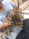 Older lady holding three week old kittens