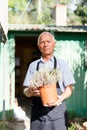 Older man gardening