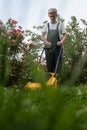 Older man mowing the lawn Royalty Free Stock Photo