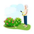 Older people working in the garden Royalty Free Stock Photo